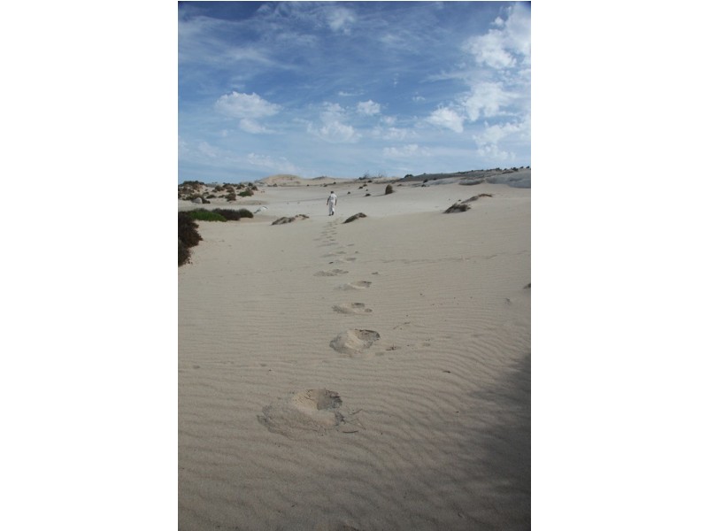 . Passage Island, Flinders Island TAS 7255