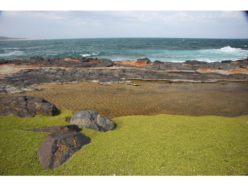 . Passage Island, Flinders Island TAS 7255