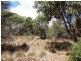 Lot 1, 601 Boat Harbour Road, Killiecrankie, Flinders Island TAS 7255