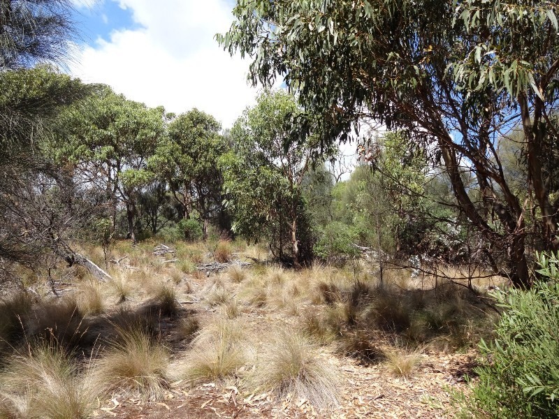 Lot 1, 601 Boat Harbour Road, Killiecrankie, Flinders Island TAS 7255