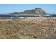 Lot 11 West End Road, Flinders Island TAS 7255
