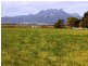 109166/1 Robert Street, Whitemark, Flinders Island TAS 7255