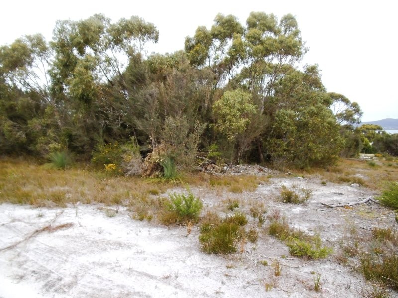 Lot 21 Moonbird Street, Lady Barron TAS 7255