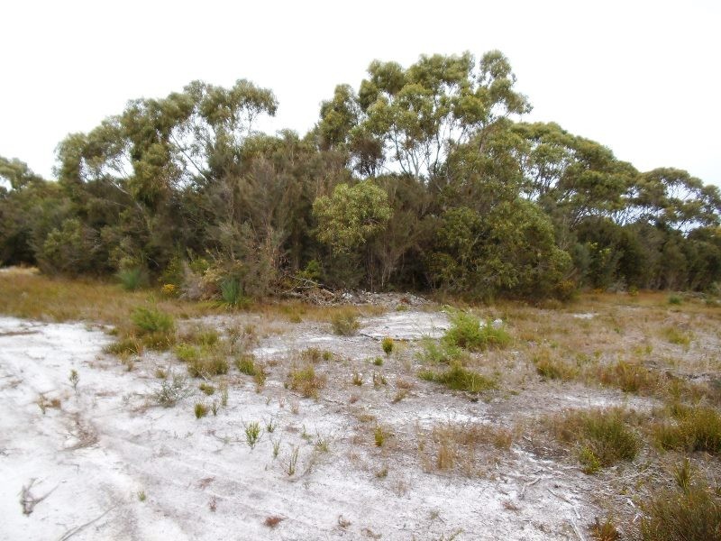 Lot 21 Moonbird Street, Lady Barron TAS 7255