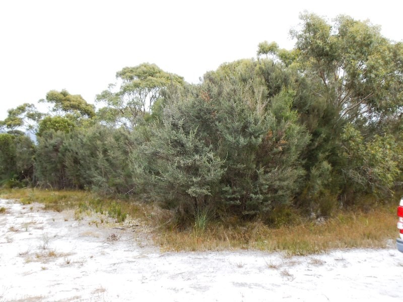 Lot 21 Moonbird Street, Lady Barron TAS 7255