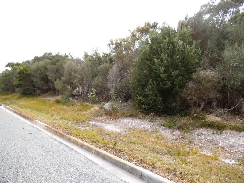 Lot 21 Moonbird Street, Lady Barron TAS 7255