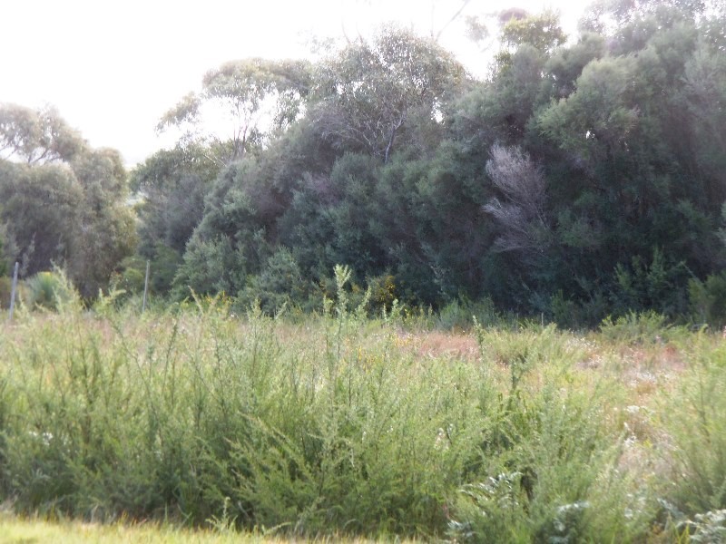 Lot 29 Vinegar Hill Drive, Flinders Island TAS 7255