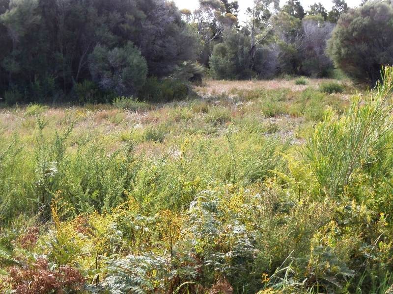 Lot 29 Vinegar Hill Drive, Flinders Island TAS 7255