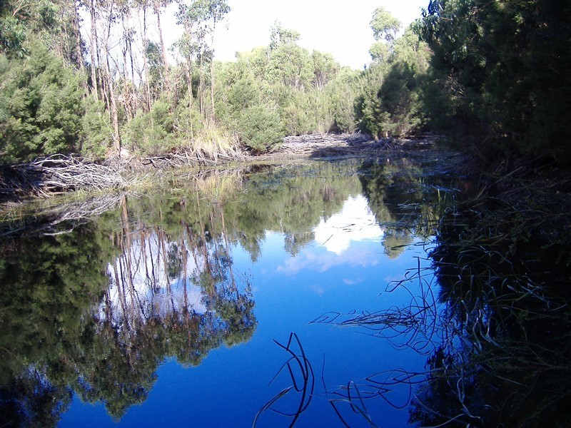 PID 6428382 Off Memana Road, Whitemark, Flinders Island TAS 7255