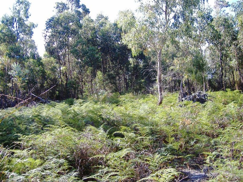 PID 6428382 Off Memana Road, Whitemark, Flinders Island TAS 7255
