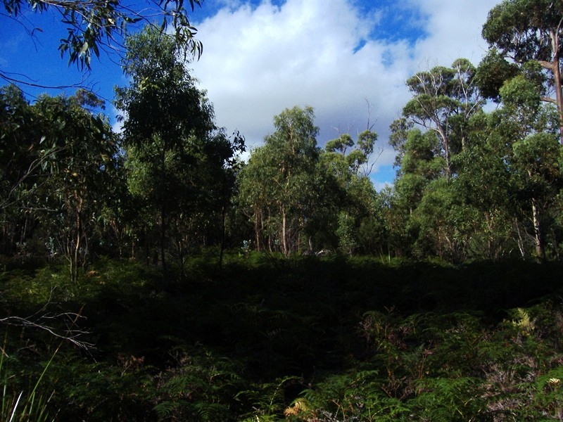 PID 6428382 Off Memana Road, Whitemark, Flinders Island TAS 7255