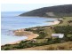 . Prime Seal Island (Bass Strait), Flinders Island TAS 7255
