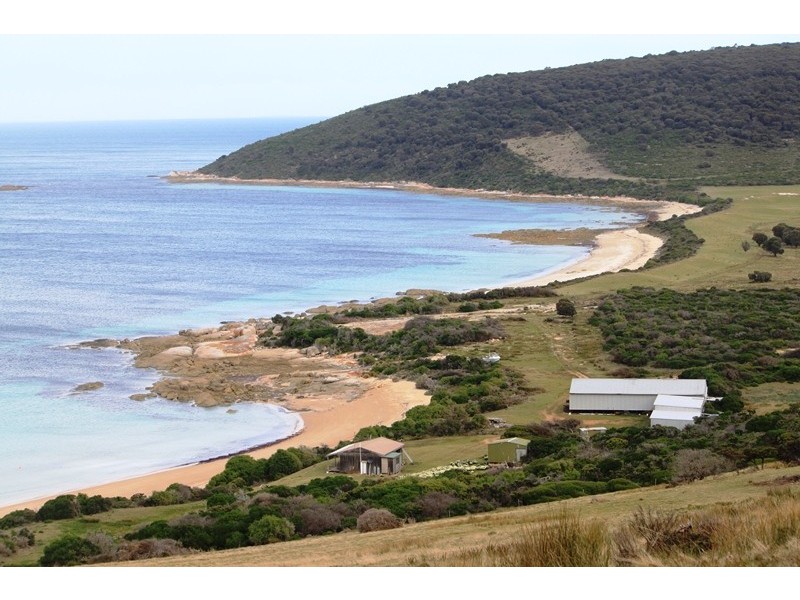 . Prime Seal Island (Bass Strait), Flinders Island TAS 7255