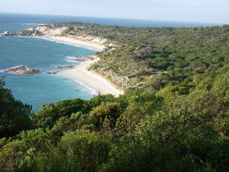 . Prime Seal Island (Bass Strait), Flinders Island TAS 7255