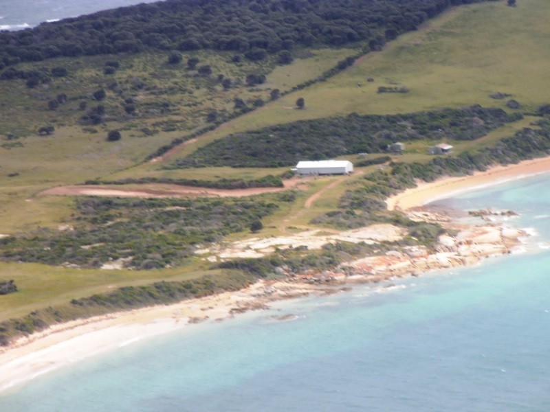 . Prime Seal Island (Bass Strait), Flinders Island TAS 7255
