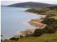 . Prime Seal Island (Bass Strait), Flinders Island TAS 7255
