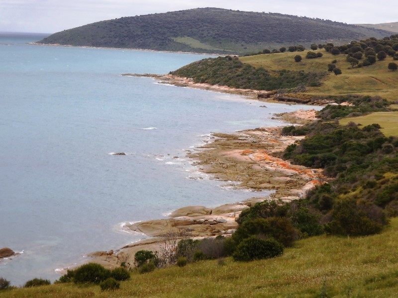 . Prime Seal Island (Bass Strait), Flinders Island TAS 7255