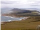 . Prime Seal Island (Bass Strait), Flinders Island TAS 7255