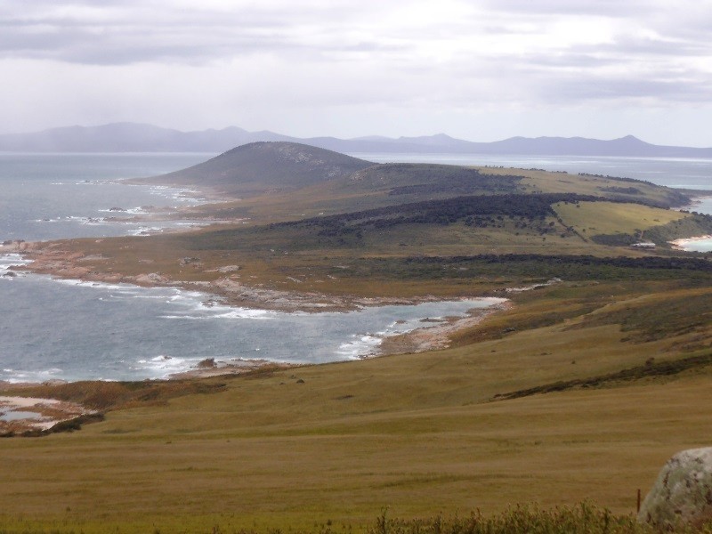 . Prime Seal Island (Bass Strait), Flinders Island TAS 7255