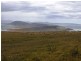 . Prime Seal Island (Bass Strait), Flinders Island TAS 7255