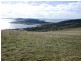 . Prime Seal Island (Bass Strait), Flinders Island TAS 7255