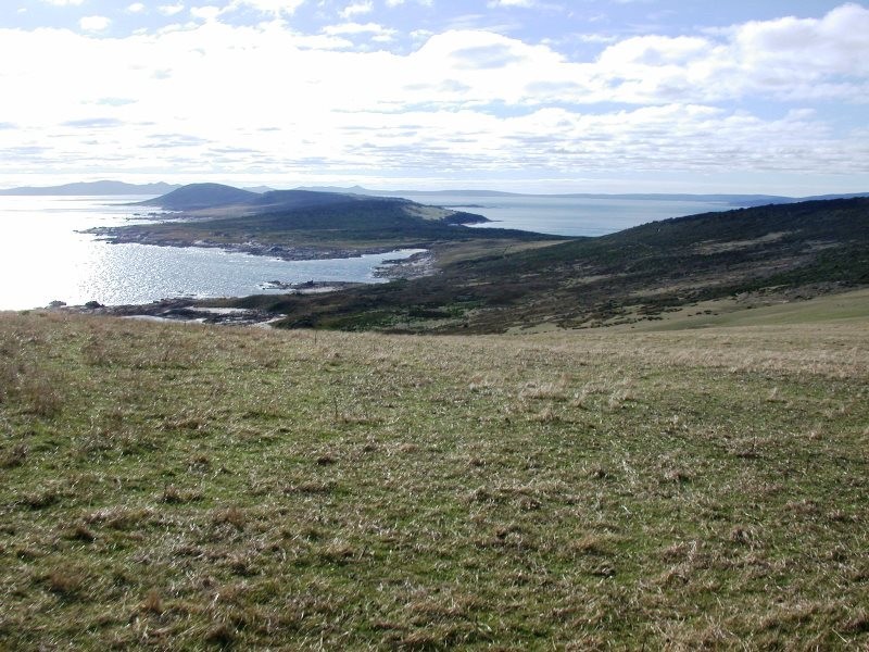 . Prime Seal Island (Bass Strait), Flinders Island TAS 7255