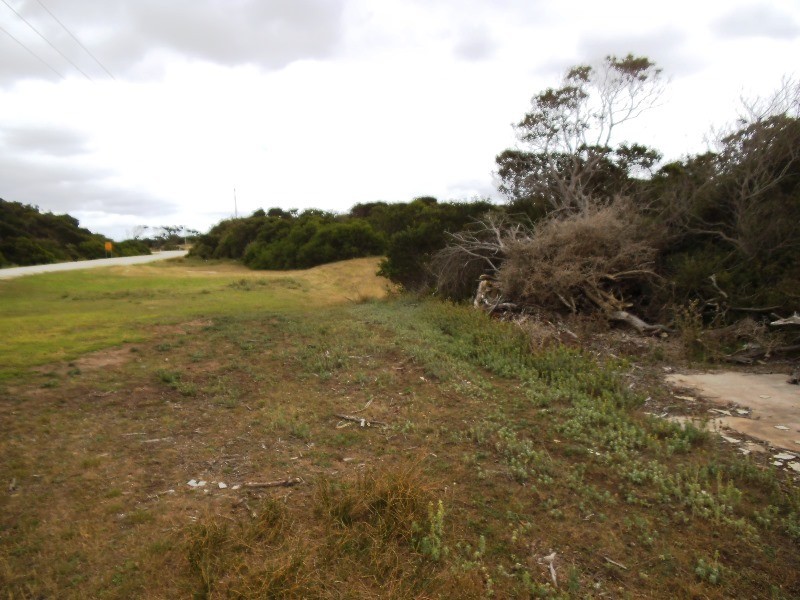 PID 6424357 Palana Road, Emita TAS 7255