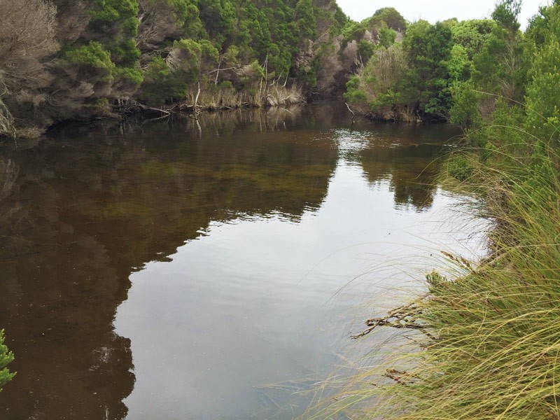 601 Boat Harbour Road, Boat Harbour, Flinders Island TAS 7255