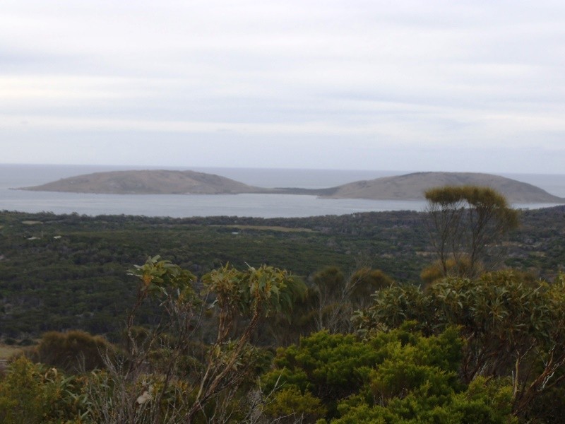 Lot 9 Edens Road, Palana TAS 7255