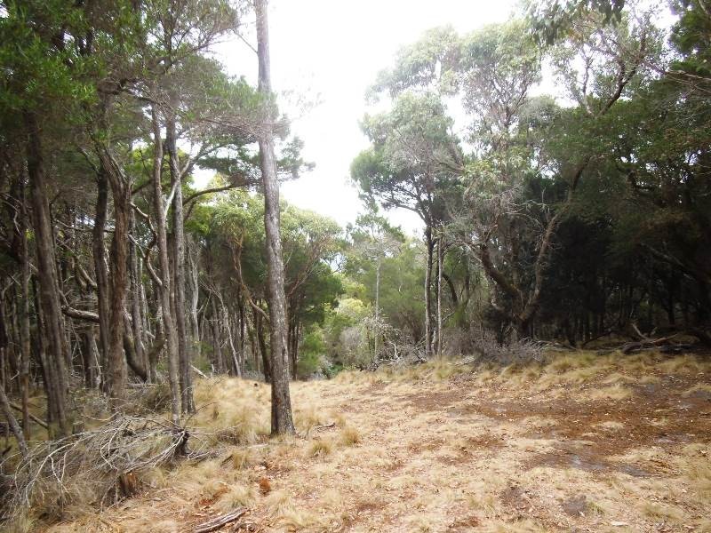 Lot 9 Edens Road, Palana TAS 7255
