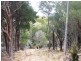 Lot 9 Edens Road, Palana TAS 7255