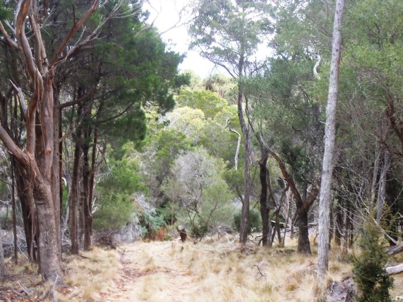 Lot 9 Edens Road, Palana TAS 7255
