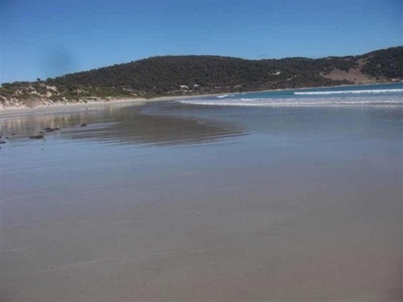 4764 Palana Road, Palana, Flinders Island TAS 7255