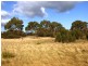 367 Memana Road, Flinders Island TAS 7255