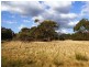 367 Memana Road, Flinders Island TAS 7255