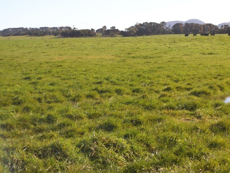 1398 Lady Barron Road, Ranga, Flinders Island TAS 7255