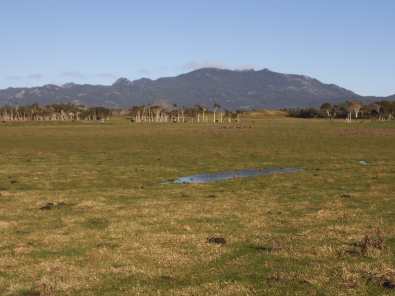 1398 Lady Barron Road, Ranga, Flinders Island TAS 7255