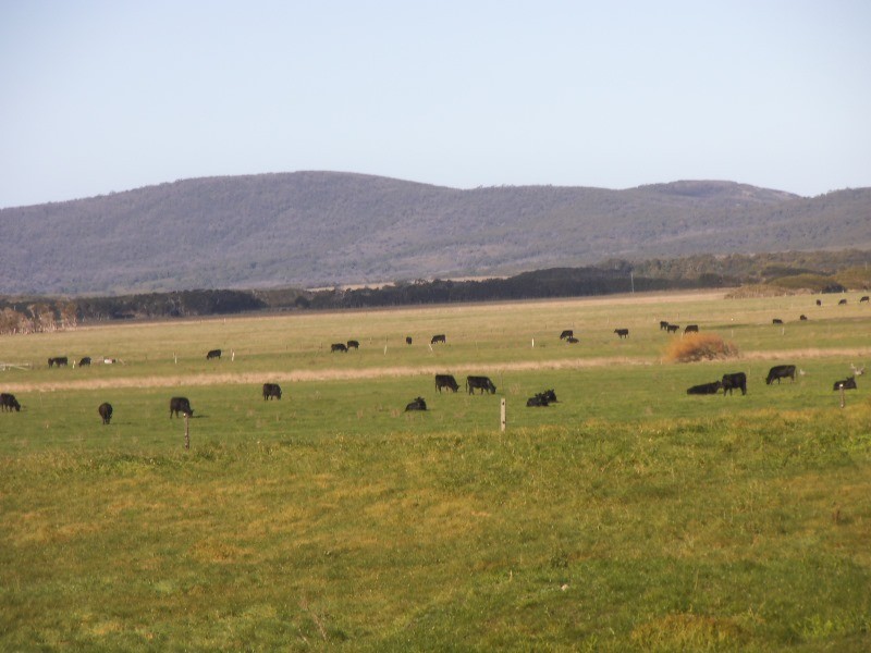 1398 Lady Barron Road, Ranga, Flinders Island TAS 7255