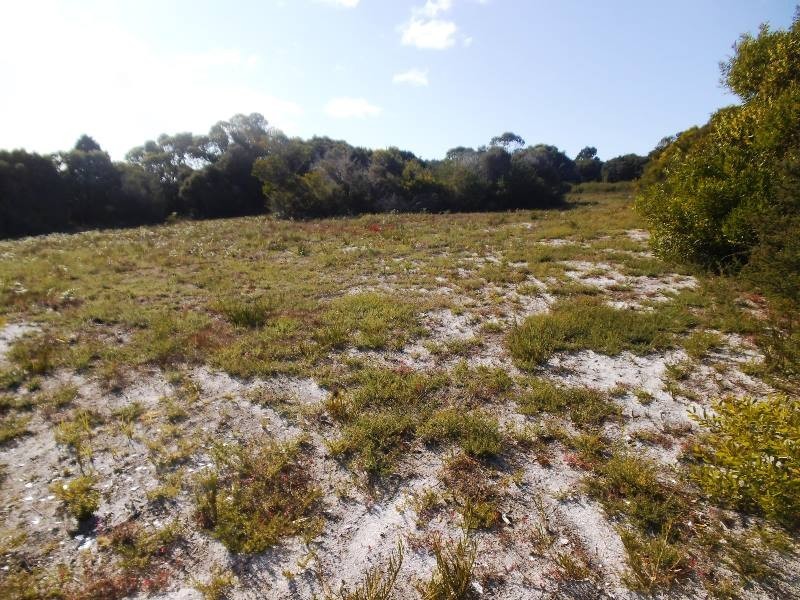 Lot 31 Vinegar Hill Drive, Lady Barron, Flinders Island TAS 7255