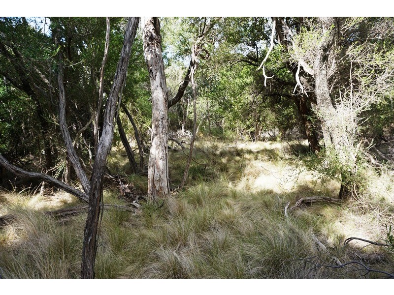 PID 6432381 Rooks River Road, Cape Barren Island TAS 7257