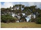 Lot 1 Palana Road, Palana, Flinders Island TAS 7255