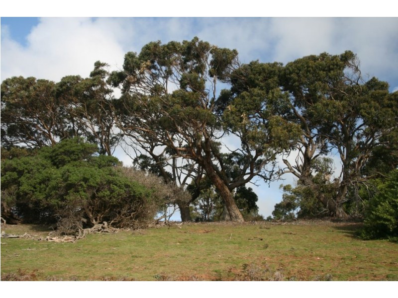 Lot 1 Palana Road, Palana, Flinders Island TAS 7255