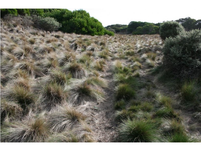 Lot 1 Palana Road, Palana, Flinders Island TAS 7255