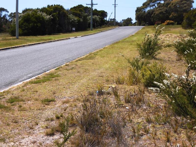 2377 Lady Barron Road, Lady Barron TAS 7255