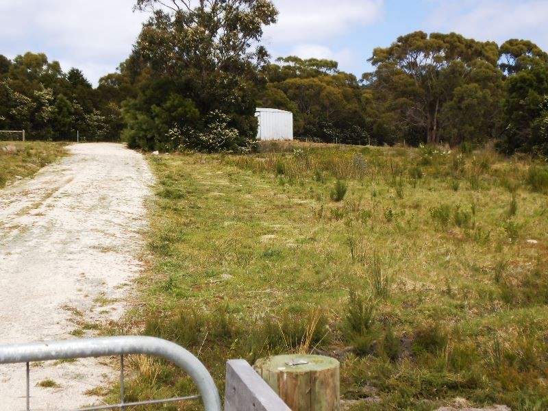 158 Badger Corner Road, Flinders Island TAS 7255