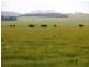1271 Memana Road, Memana, Flinders Island TAS 7255
