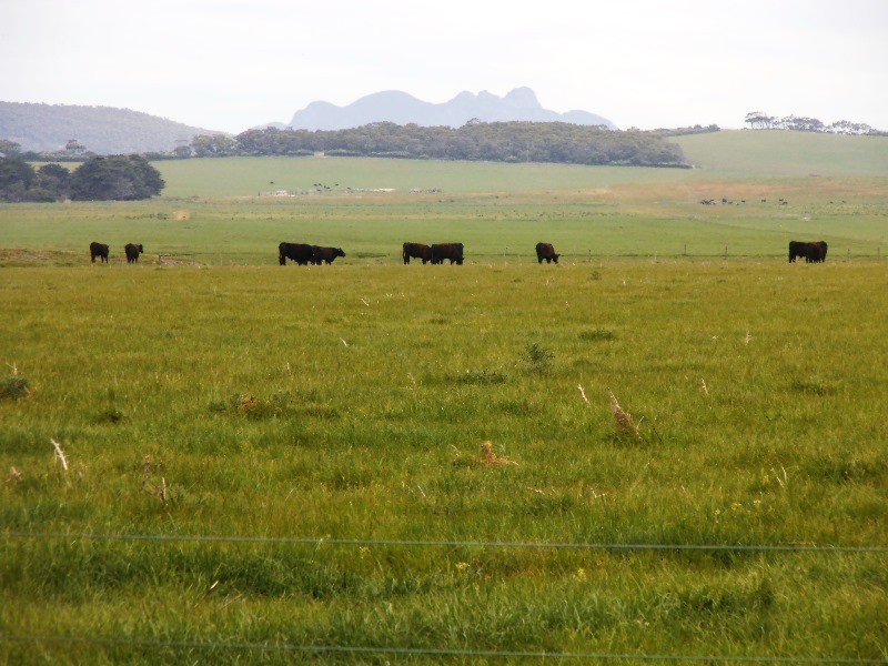 1271 Memana Road, Memana, Flinders Island TAS 7255