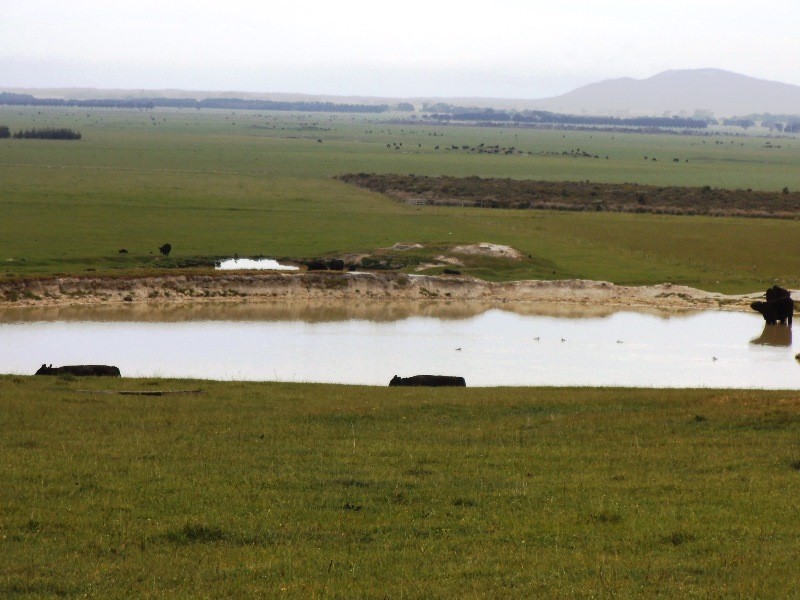 1271 Memana Road, Memana, Flinders Island TAS 7255