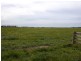 1271 Memana Road, Memana, Flinders Island TAS 7255