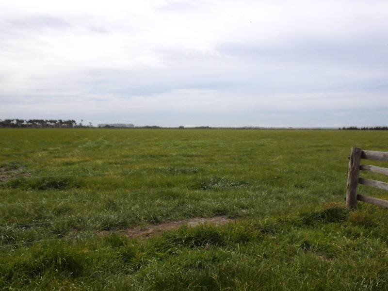 1271 Memana Road, Memana, Flinders Island TAS 7255